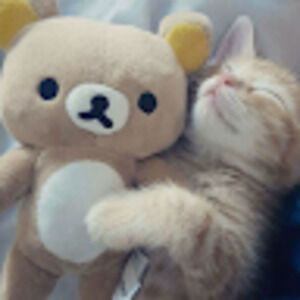 Meet your Posher, Gellah